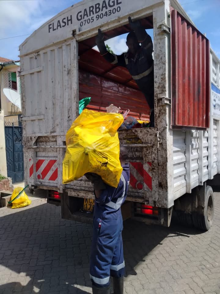 Cleaning Services
